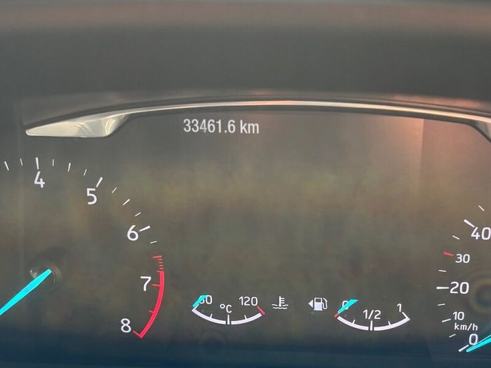 Ford Fiesta Active 2019 low mileage