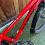 kids Trek bike Image 3