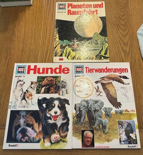 German Children's Books (Bundle of 21)