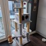Cat Tree Image 2