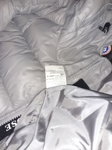 Canada Goose