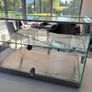 Glass Countertop Food Display Image 2