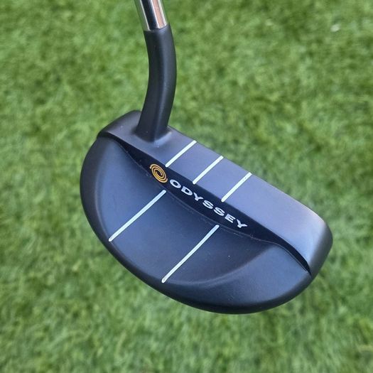 Odyssey Stroke Lab - Rossie