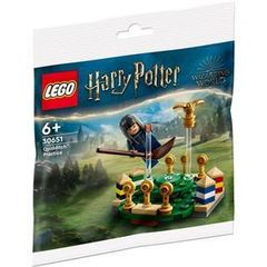 LEGO Harry Potter Quidditch Practice (30651)