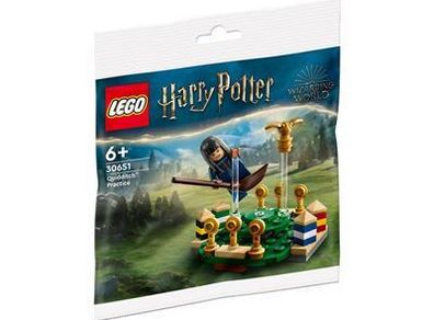 LEGO Harry Potter Quidditch Practice (30651)