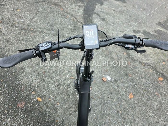 Engwe L20 3.0 Boost Electric Bike