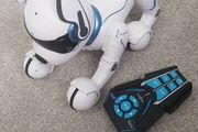 Toy