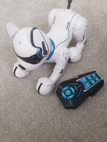 Toy