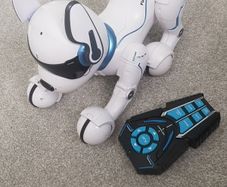 Toy