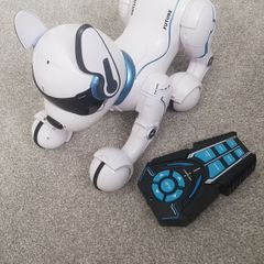 Toy