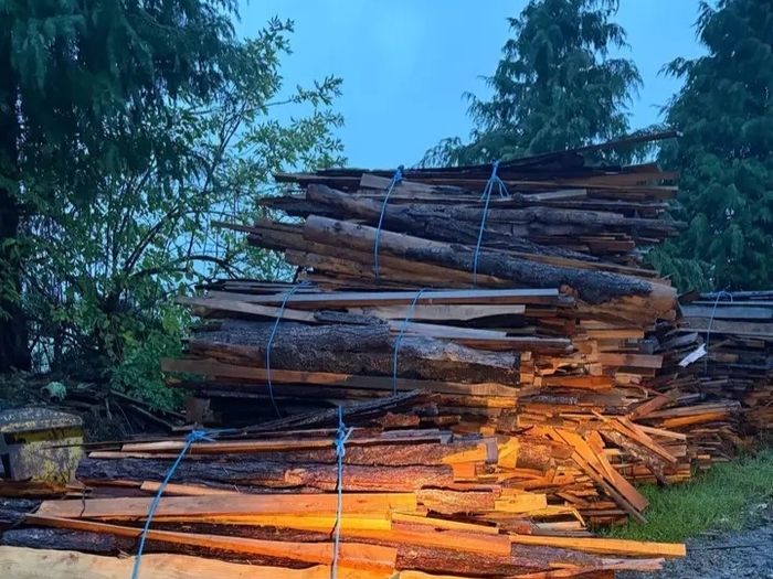 fire wood larch and dugles furr