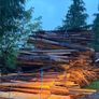 fire wood larch and dugles furr Image 2