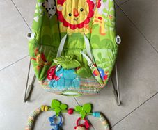 Fisher Price baby bouncer rocking chair