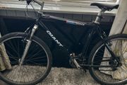 bikes