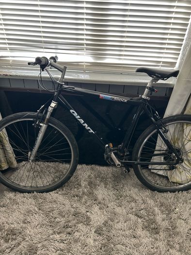 bikes