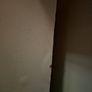 Bedside locker (2 avalable) Image 7