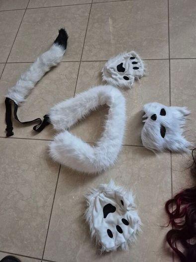 Fox costume and more