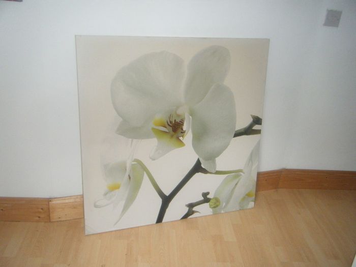 large canvas picture with lilly