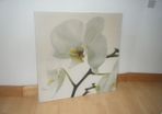 large canvas picture with lilly