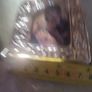 Framed Vintage Madonna and child  picture- in Silver stamped 925 Frame. Image 6