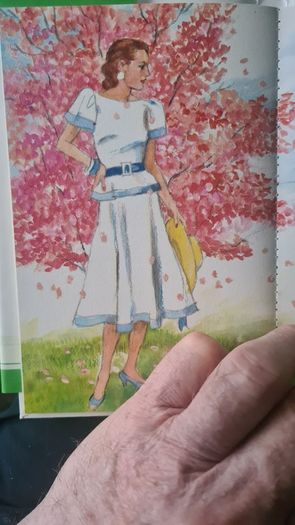 BEAUTIFUL ILLUSTRATED. THE FIRESIDE BOOK. 1995.POEMS OLD AND NEW EACH BEAUTIFULLY illustrated by a full page painting special commission to capture the flavour of the words. Hardback With Dustjacket In Very Good Condition.