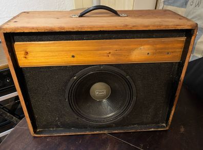guitar cab with speaker
