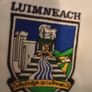 XL  Limerick. G.a.a.  Tee. Shirt Image 3