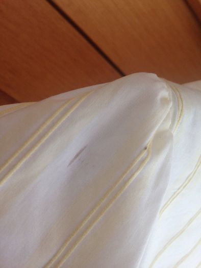 Bnwt shirt sleeved shirt from Banana Republic