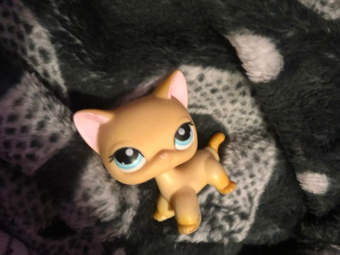 Littlest pet shop cats