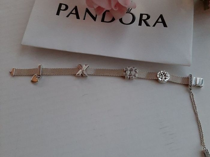 new genuine pandora reflexions charms