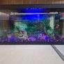 Aquael Leddy 60 Complete Aquarium Set. Image 2