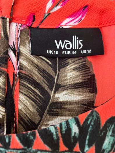 Size 16, Orange Top by Wallis