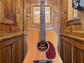 Takamine EN-10 1991
