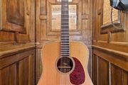 Takamine EN-10 1991