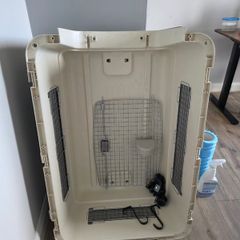 Pet travel box