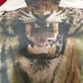 Boys teeshirt age 11/12 Image 4