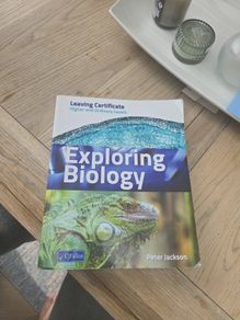 Leaving Certificate