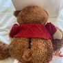 Max Mind Power Bear Image 4