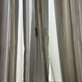 Pair of Curtains Image 3