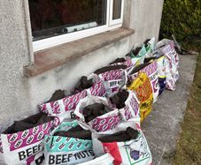 20 bags of turf