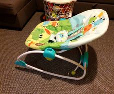 Bright Starts Infant to Toddler Rocker