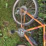 bike Image 4
