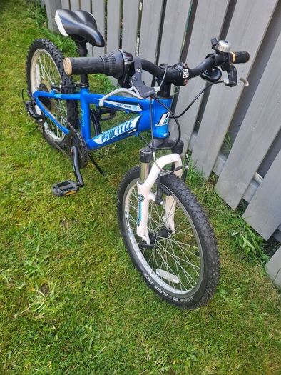 Boys bike
