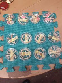 Shark teeth collection