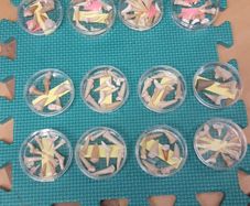 Shark teeth collection