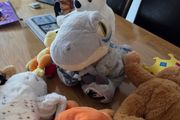 Collection of Teddys