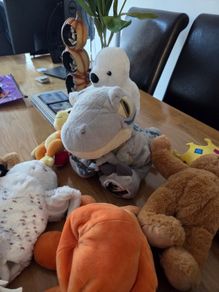 Collection of Teddys