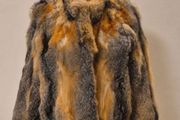 Lynx coat