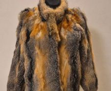 Lynx coat