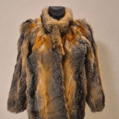 Lynx coat